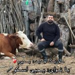 دانلود آهنگ یحیی اسکو بمیرم