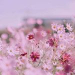 آهنگ اگر عاشق من باشی چی میشه