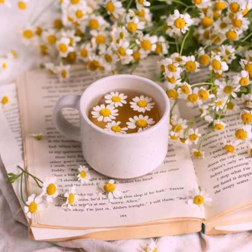 دانلود آهنگ آره خوشگلی والا عزیز دلی والا