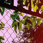 آهنگ بیا بغلم کن آه بزن در به درم کن آه