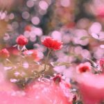 آهنگ اشک چشمام انگار نم نم بارون ای یار