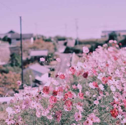 دانلود آهنگ درسته بازی خوبه ولی نه با قلب یکی