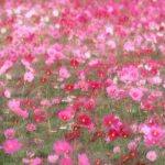 آهنگ من احساسیم درک من مشکله