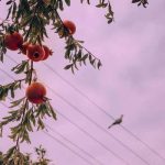 آهنگ شریک حال خوبم تو پناهم تو رفیقم تو