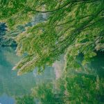 دانلود آهنگ تو که قول دادی پشتمو اینجوری خالی نکنی