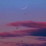 آهنگ یادش نیست اون همه قول و حرفاش آهنگ یادش نیست اون همه قول و حرفاش