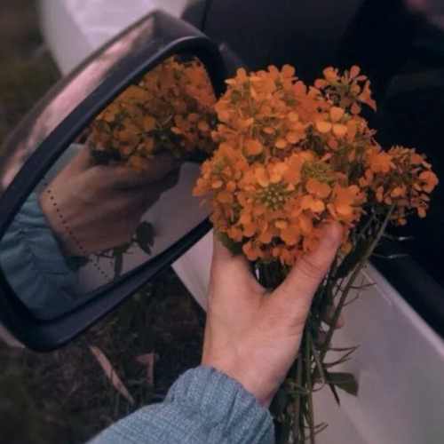 دانلود آهنگ نازلی دا یاریم ینه ینه گلدی آکلیما