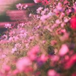 دانلود آهنگ حایاتی تسبیح یاپمیشیم