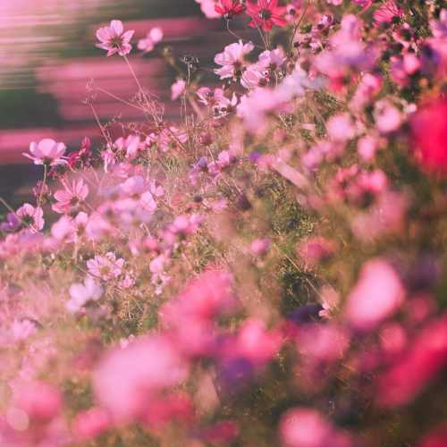 دانلود آهنگ ترکیه ای حایاتی تسبیح یاپمیشیم