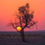 آهنگ شمعارو فوت کن آرزو کن همیشه بخند و غمارو دود کن