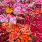 آهنگ سوزموشم ایچمیشم گلیب غمخانه