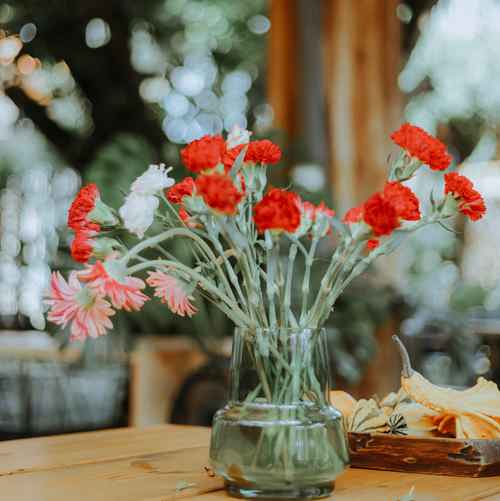 دانلود آهنگ ای سبزه نگار بیا به بالینم شبنم گل نار بیا به بالینم