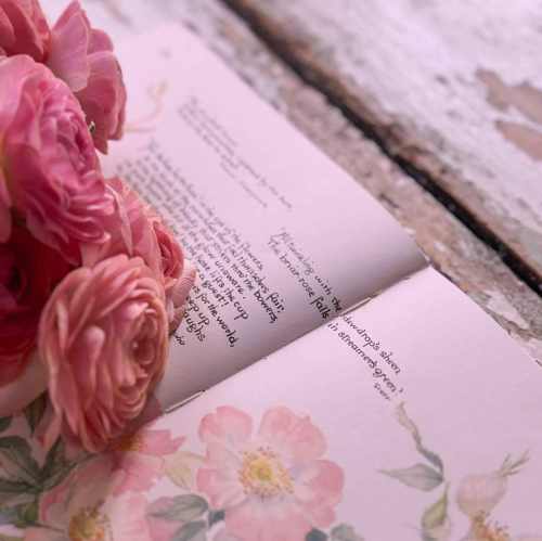 دانلود آهنگ ﻣﻪ آﺧﺮﻳﻦ ﺑﺮگ ری درﺧﺖ ﻋﺸﻖ ﺟﻮرم