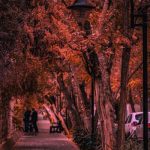 دانلود آهنگ حالا داره دنبالم میگرده