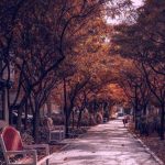 آهنگ این آدما بی رحمنه از دور همه قشنگنه
