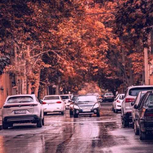 دانلود آهنگ تن تو نازک و نرمه مثه برگ تن من جون میده پرپر بزنه زیر تگرگ