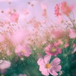 دانلود آهنگ تیمور نمازی اگر میلت هست