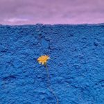 آهنگ آتا جان آتا جان کونلوم سنین