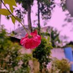 آهنگ دادا ببین چه عسلی رو دیدم حاجی خوبه شمارشو بگیرم