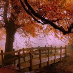 دانلود آهنگ غصه مخور رسم دنیا جفایه