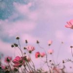 آهنگ این شهر و اون شهر فراریمه فقط بخاطر تو