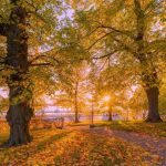 آهنگ نری از پیشم که بی تو میمیرم حتی نمیخوام تو خوابم ببینم