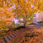 آهنگ اولومومه تلسیرم ساعاتیما باخا باخا