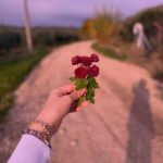 آهنگ عسل خانوم دلتنگ شماست شیطون و بلاست