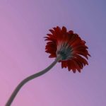 آهنگ گفته بودم بری باز چشام گریونه