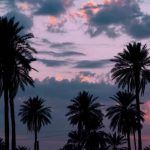 آهنگ لعنت به تو افتادی به یادم