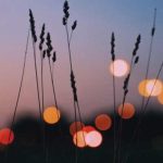 آهنگ ساقی بریز بریز بریز امشو خرابم