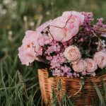 آهنگ روی ایوون توی خونه پرستو زده لونه