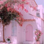 دانلود آهنگ بایلا بایلا سنیوریتا دانلود آهنگ بایلا بایلا سنیوریتا