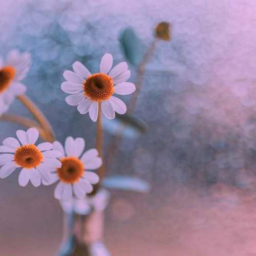 دانلود آهنگ میخواستم تو بگی دریا قشنگه آی بگی صحرا قشنگه