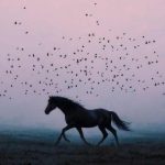 دانلود آهنگ ревели ливни jony